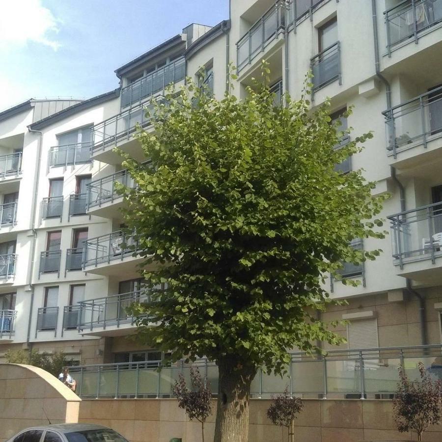 Apartament Flauta, Villa Marea Miedzyzdroje Eksteriør billede